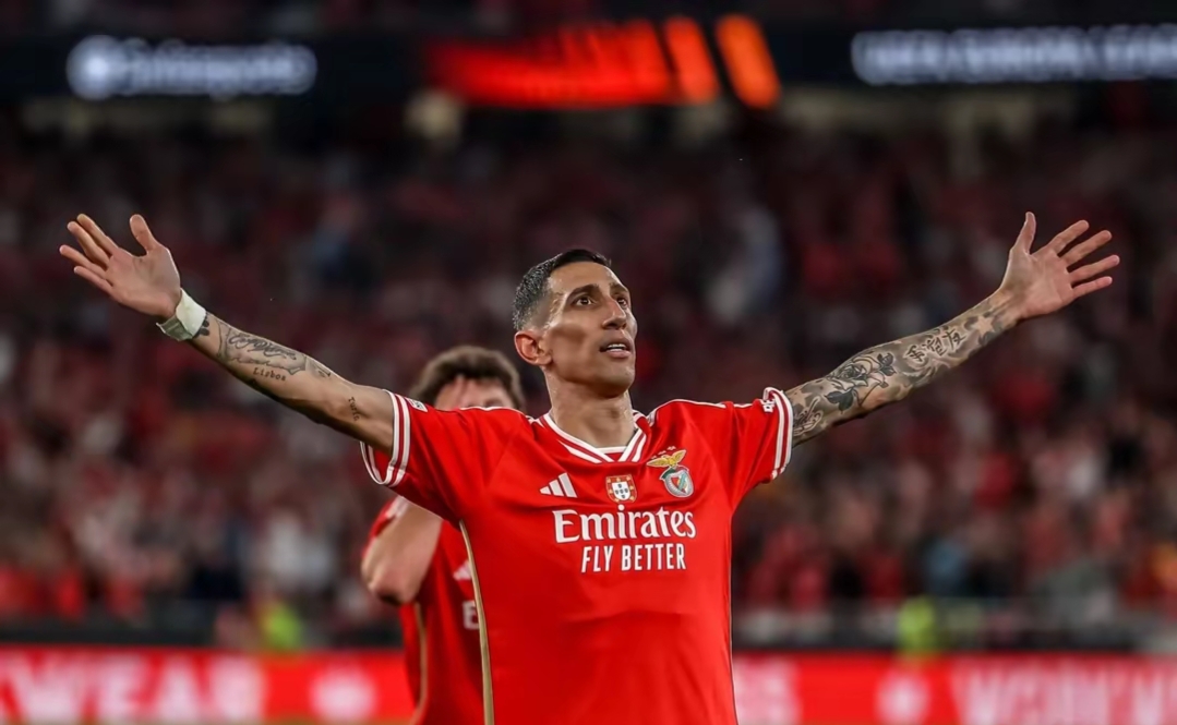 拜仁vs本菲卡最新数据库比分预测分析